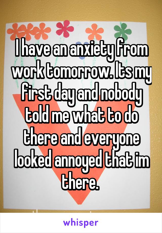 I have an anxiety from work tomorrow. Its my first day and nobody told me what to do there and everyone looked annoyed that im there. 