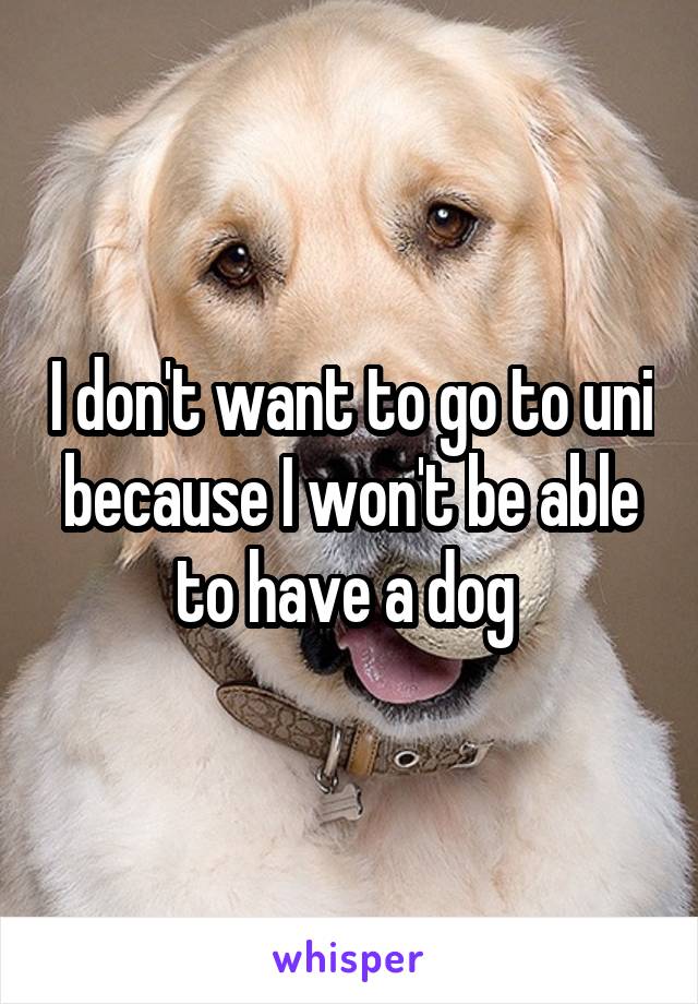 I don't want to go to uni because I won't be able to have a dog 