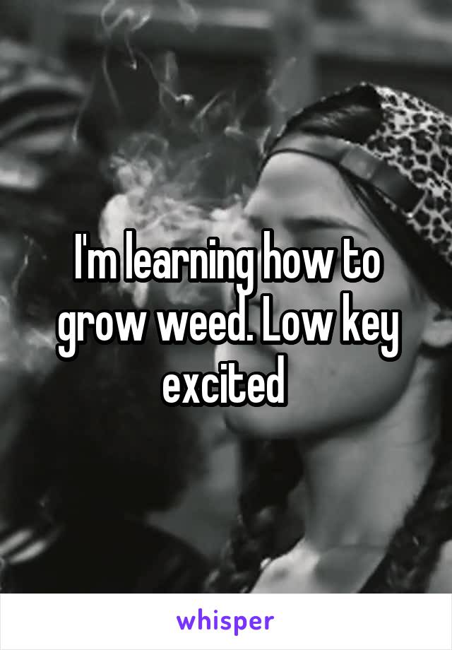 I'm learning how to grow weed. Low key excited 