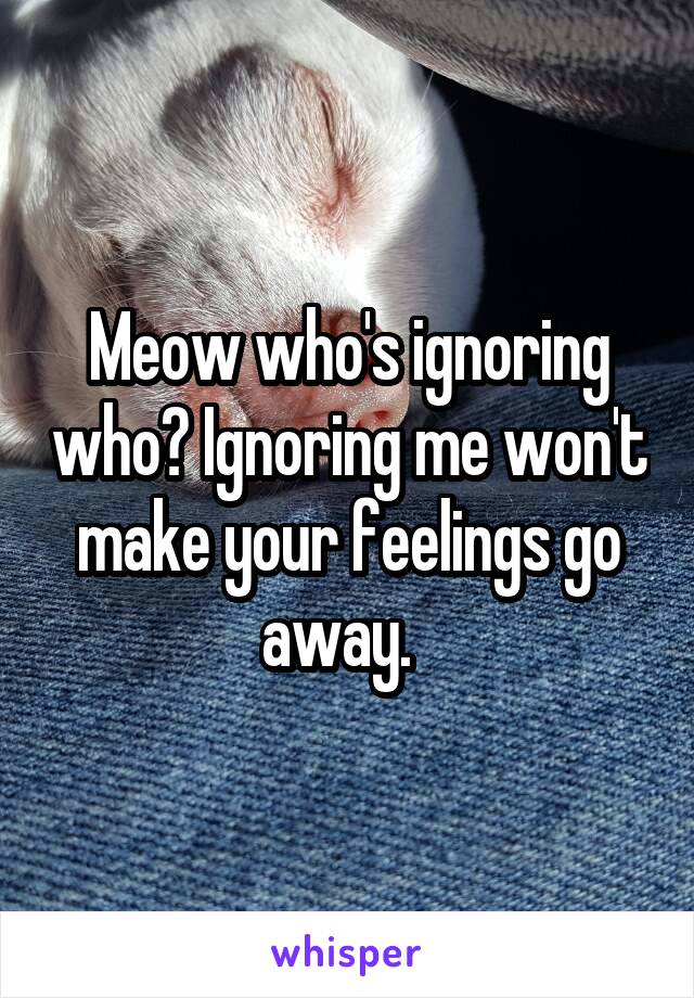 Meow who's ignoring who? Ignoring me won't make your feelings go away.  
