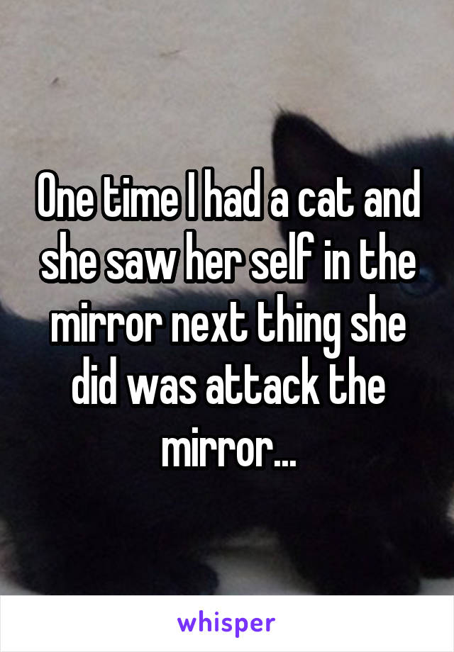 One time I had a cat and she saw her self in the mirror next thing she did was attack the mirror...