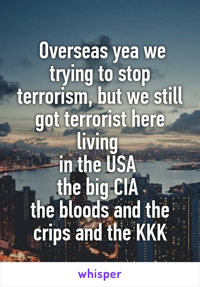  Overseas yea we trying to stop terrorism, but we still got terrorist here living 
in the USA 
the big CIA 
the bloods and the crips and the KKK