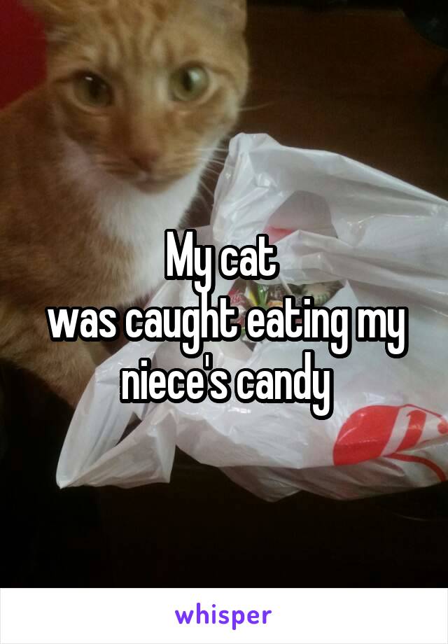 My cat 
was caught eating my niece's candy