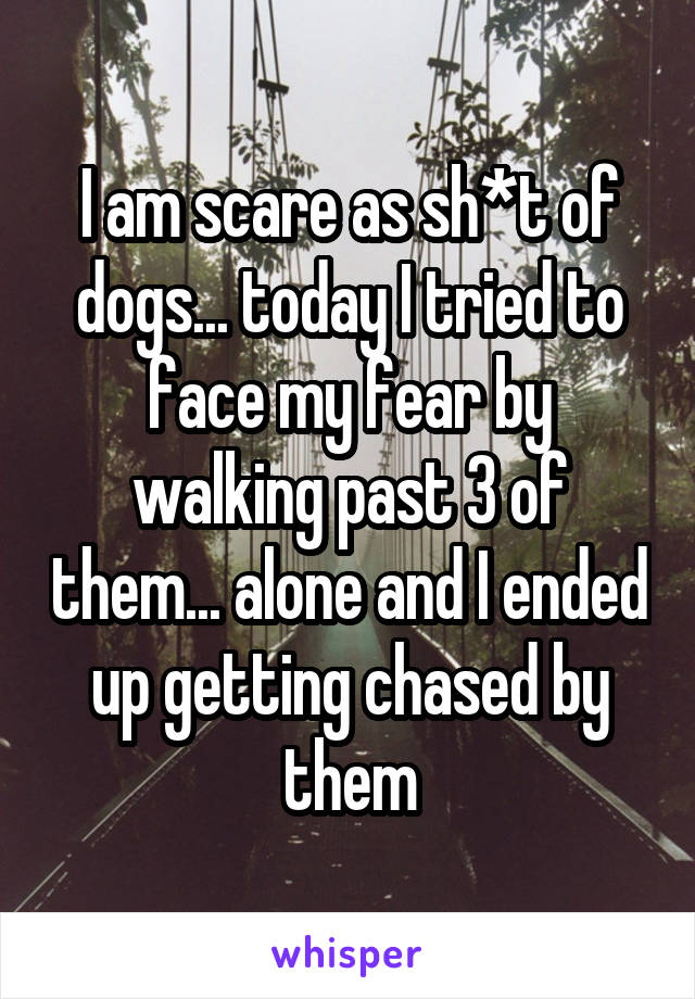 I am scare as sh*t of dogs... today I tried to face my fear by walking past 3 of them... alone and I ended up getting chased by them