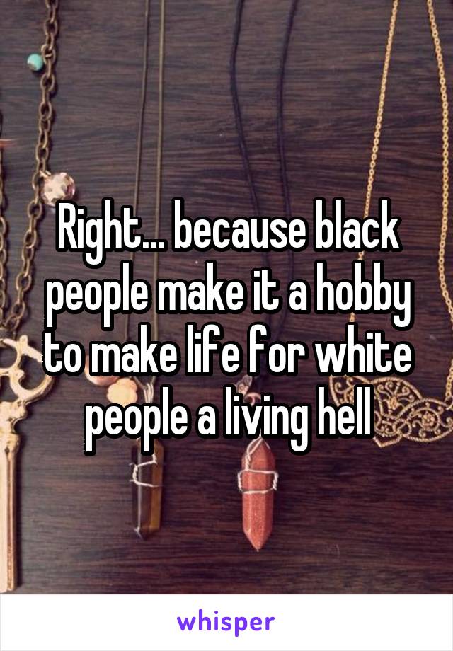 Right... because black people make it a hobby to make life for white people a living hell