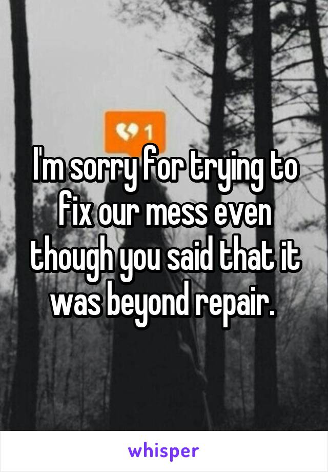 I'm sorry for trying to fix our mess even though you said that it was beyond repair. 