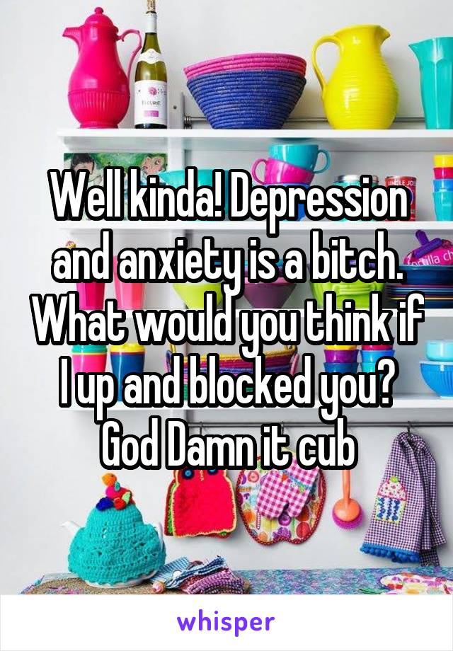 Well kinda! Depression and anxiety is a bitch. What would you think if I up and blocked you? God Damn it cub