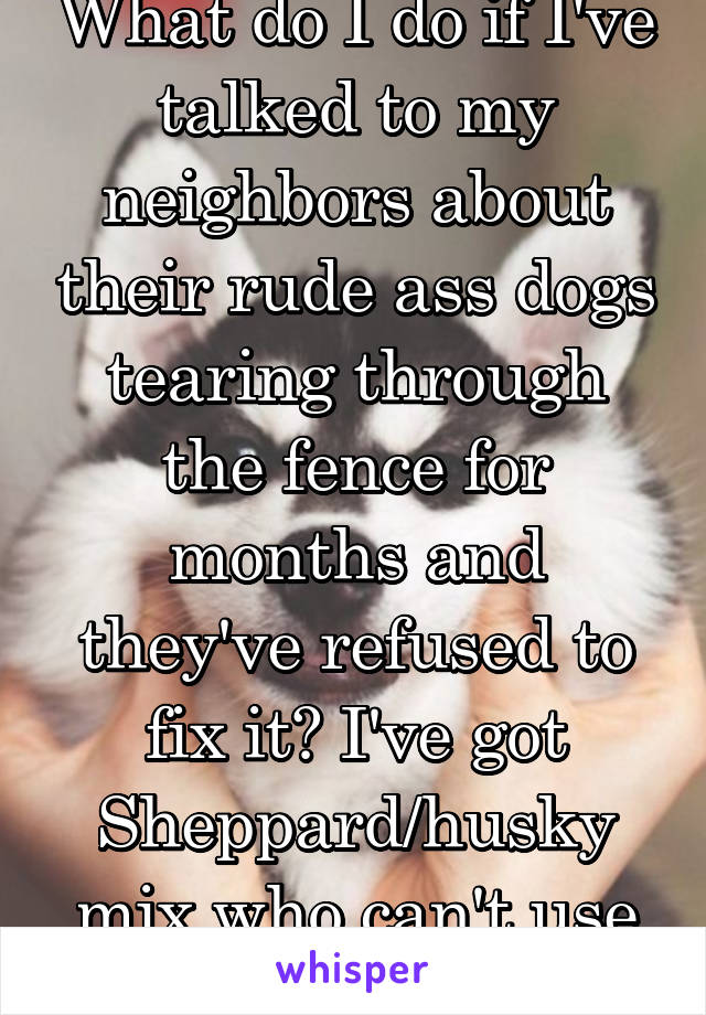 What do I do if I've talked to my neighbors about their rude ass dogs tearing through the fence for months and they've refused to fix it? I've got Sheppard/husky mix who can't use his yard normally 