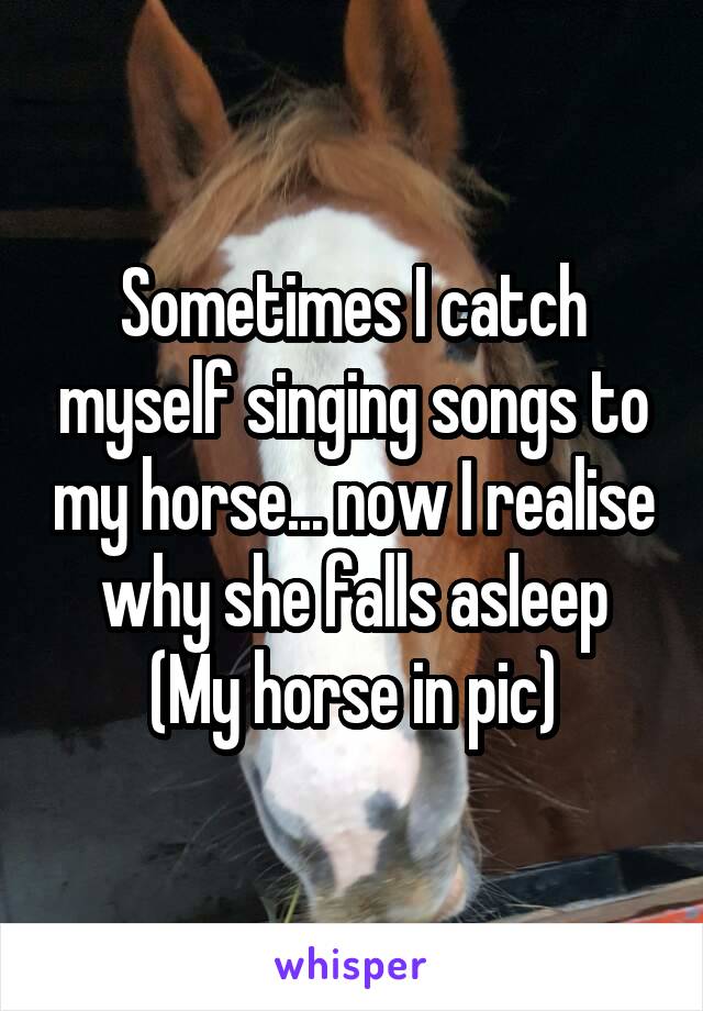 Sometimes I catch myself singing songs to my horse... now I realise why she falls asleep
(My horse in pic)