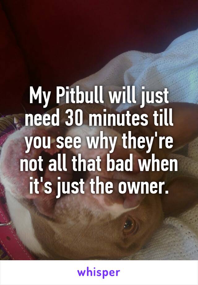 My Pitbull will just need 30 minutes till you see why they're not all that bad when it's just the owner.