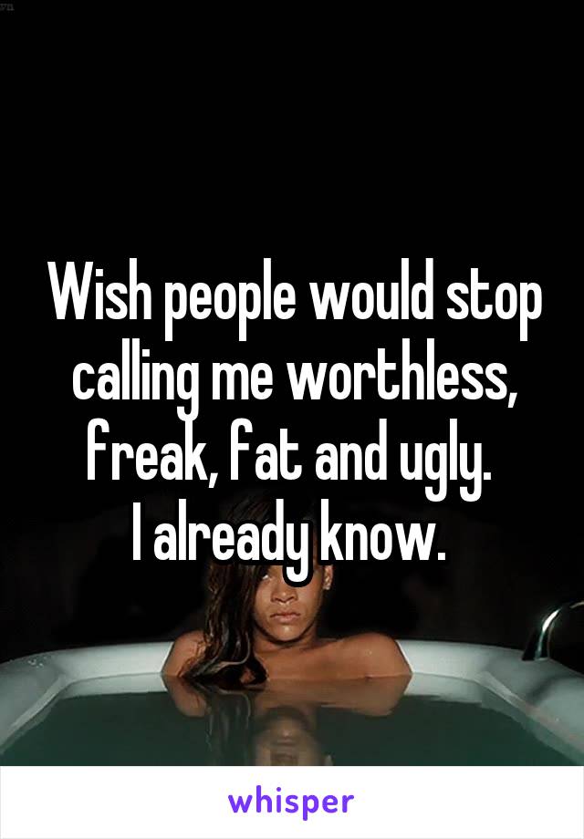 Wish people would stop calling me worthless, freak, fat and ugly. 
I already know. 