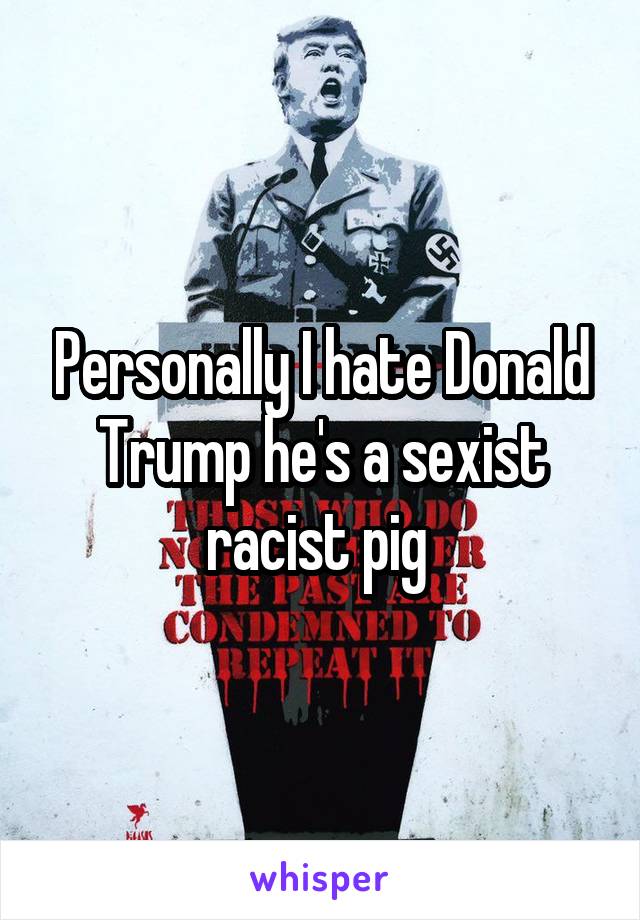 Personally I hate Donald Trump he's a sexist racist pig 
