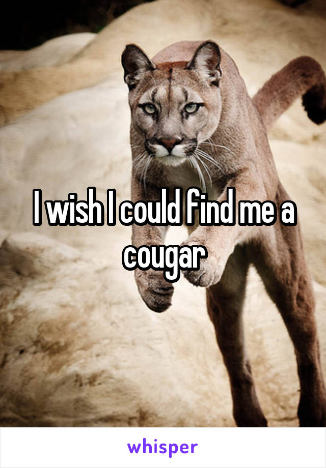 I wish I could find me a cougar