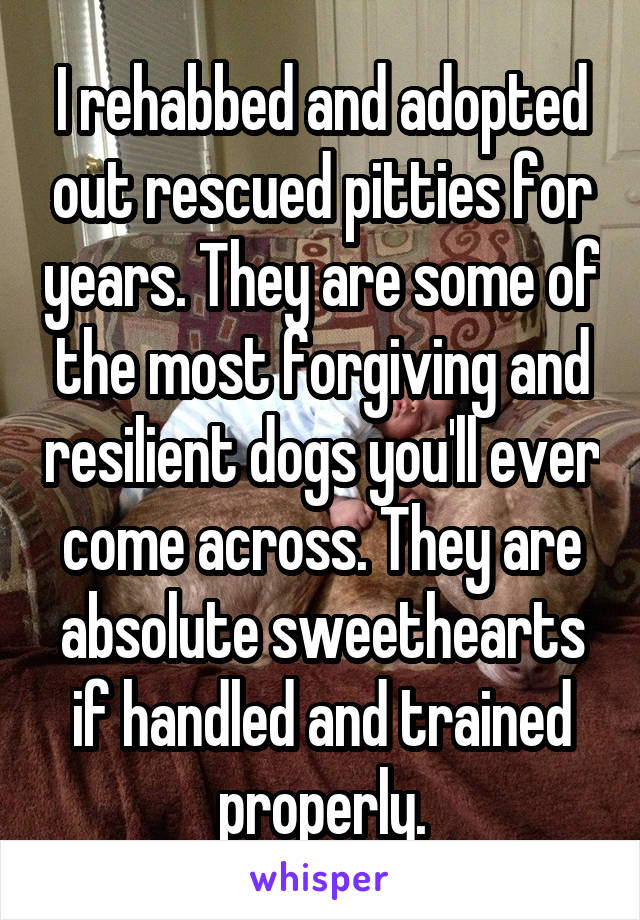 I rehabbed and adopted out rescued pitties for years. They are some of the most forgiving and resilient dogs you'll ever come across. They are absolute sweethearts if handled and trained properly.