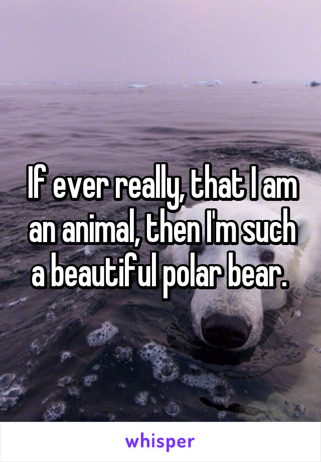 If ever really, that I am an animal, then I'm such a beautiful polar bear. 