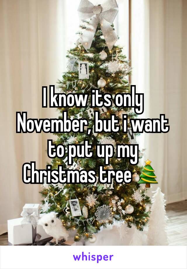 I know its only November, but i want to put up my Christmas tree🎄