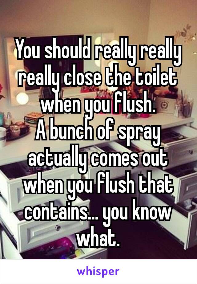 You should really really really close the toilet when you flush.
A bunch of spray actually comes out when you flush that contains… you know what.