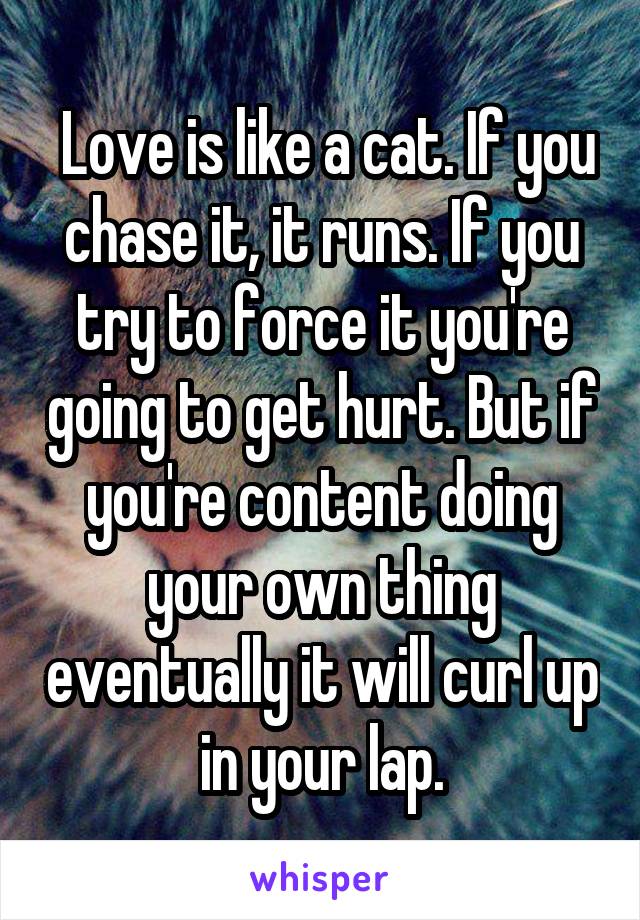  Love is like a cat. If you chase it, it runs. If you try to force it you're going to get hurt. But if you're content doing your own thing eventually it will curl up in your lap.