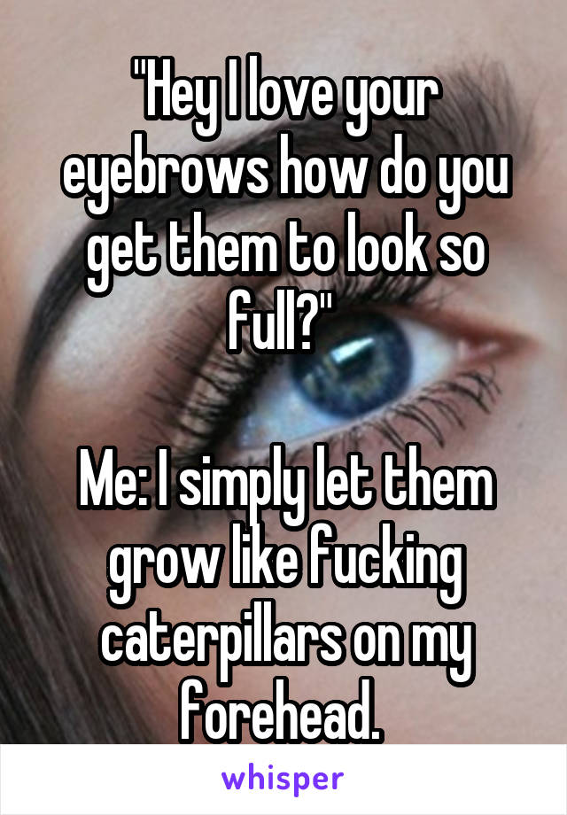 "Hey I love your eyebrows how do you get them to look so full?" 

Me: I simply let them grow like fucking caterpillars on my forehead. 