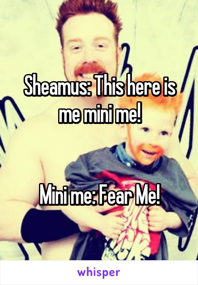 Sheamus: This here is me mini me!


Mini me: Fear Me!