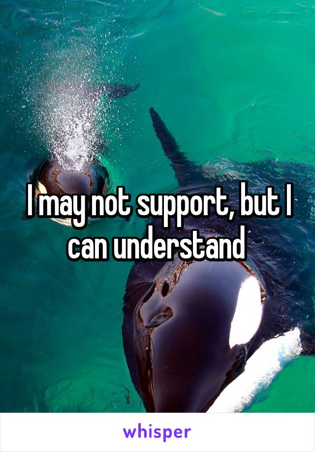 I may not support, but I can understand 