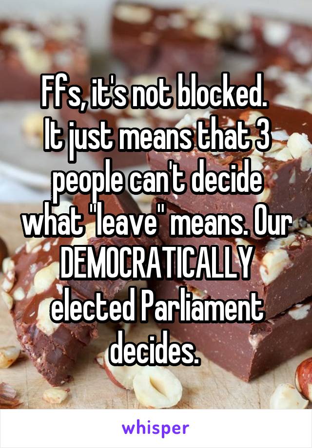 Ffs, it's not blocked. 
It just means that 3 people can't decide what "leave" means. Our DEMOCRATICALLY elected Parliament decides. 