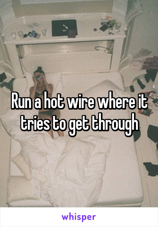 Run a hot wire where it tries to get through