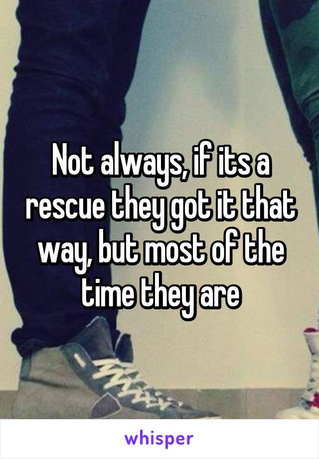 Not always, if its a rescue they got it that way, but most of the time they are
