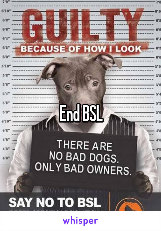 End BSL