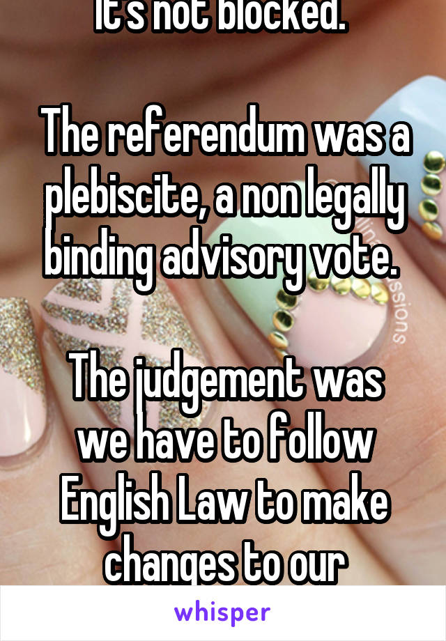 It's not blocked. 

The referendum was a plebiscite, a non legally binding advisory vote. 

The judgement was we have to follow English Law to make changes to our statutes. 