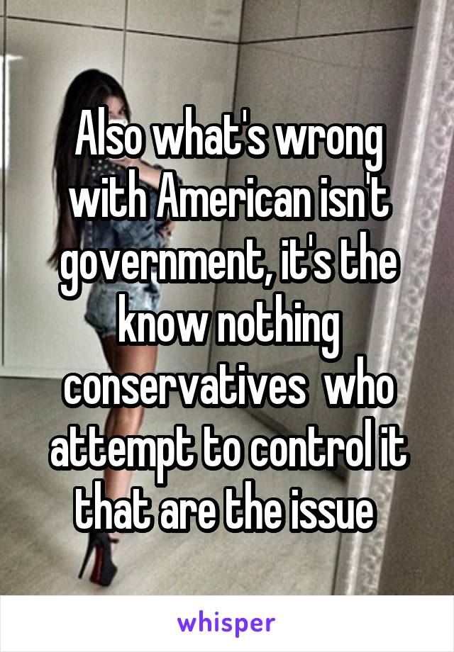 Also what's wrong with American isn't government, it's the know nothing conservatives  who attempt to control it that are the issue 