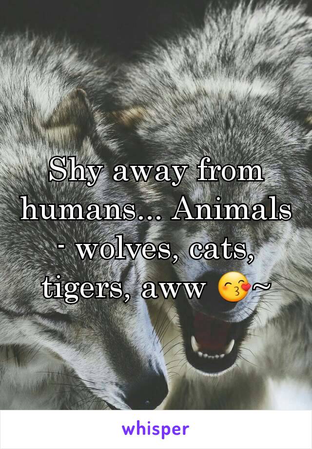 Shy away from humans... Animals - wolves, cats, tigers, aww 😙~