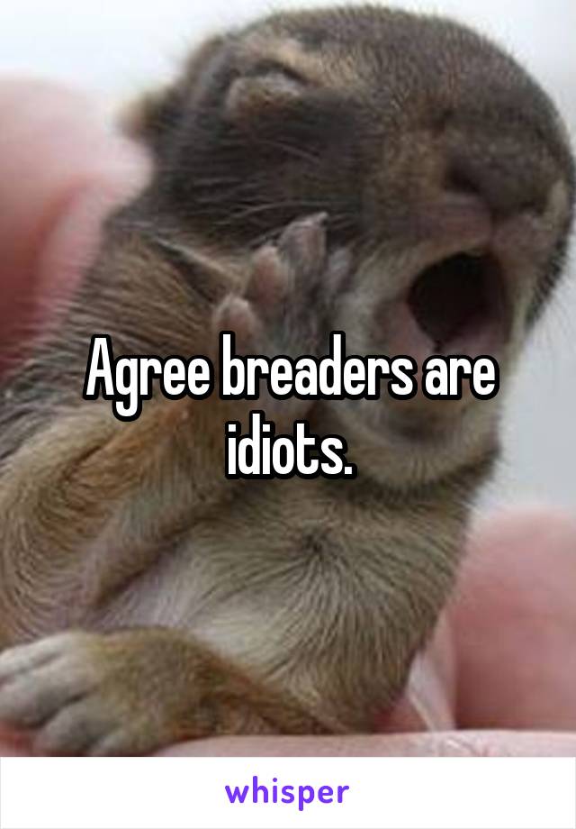 Agree breaders are idiots.