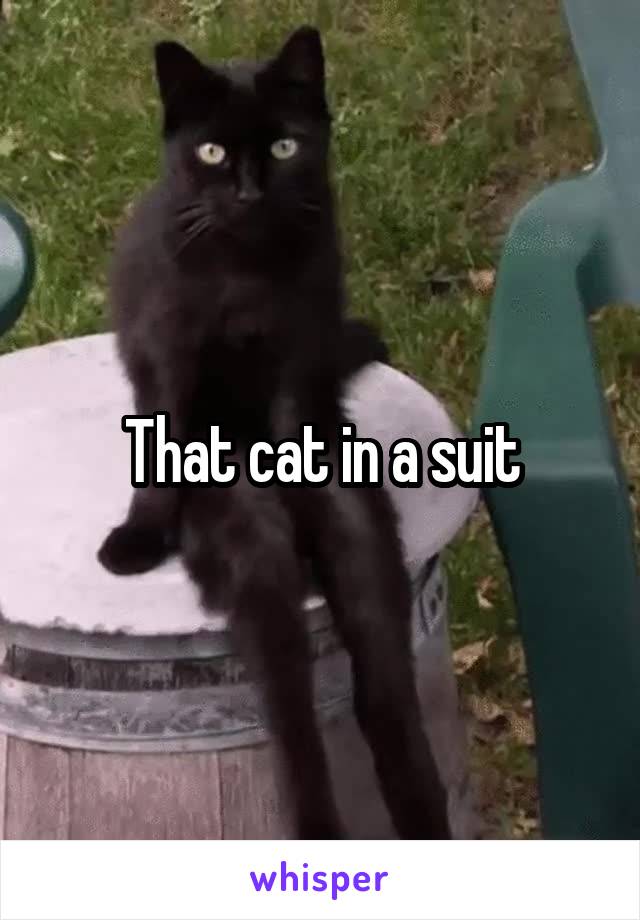 That cat in a suit