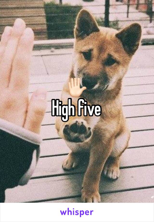✋🏻
High five
