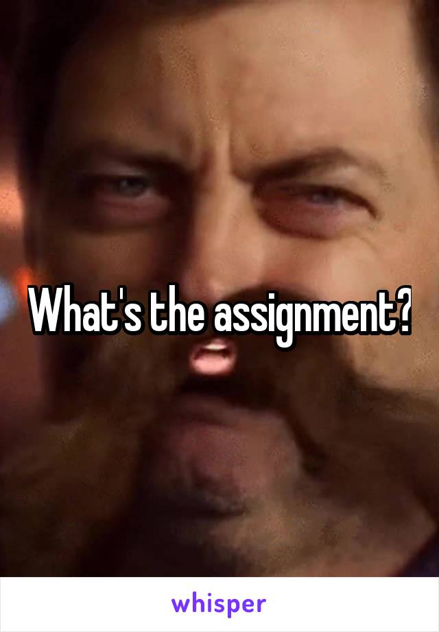 What's the assignment?
