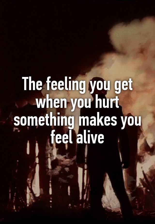 the-feeling-you-get-when-you-hurt-something-makes-you-feel-alive