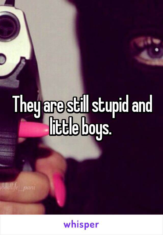 They are still stupid and little boys. 
