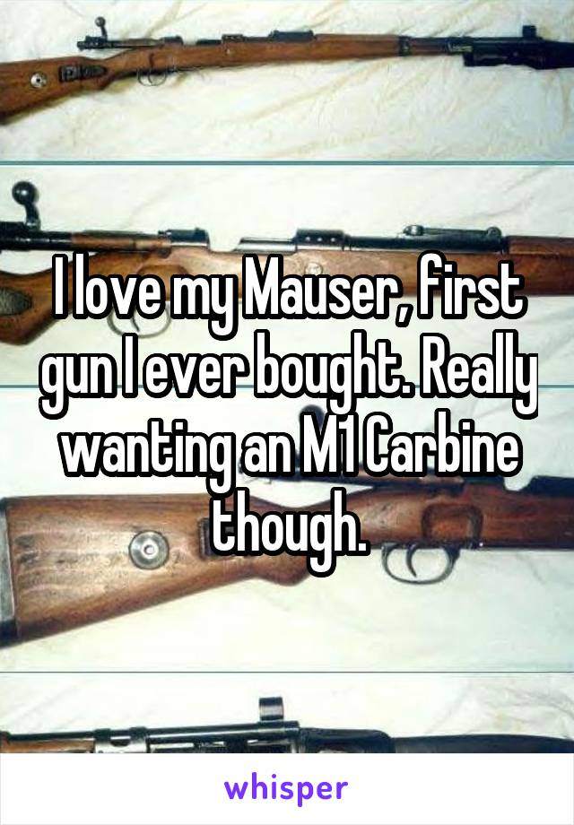I love my Mauser, first gun I ever bought. Really wanting an M1 Carbine though.