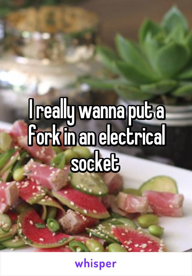 I really wanna put a fork in an electrical socket 