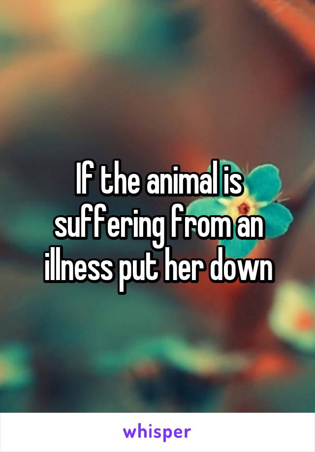 If the animal is suffering from an illness put her down