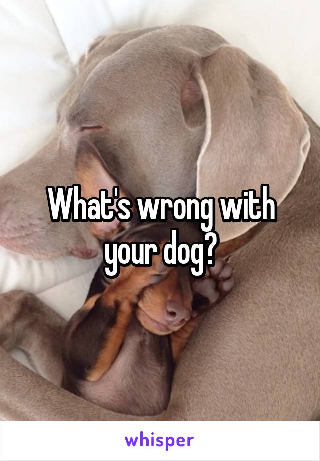 What's wrong with your dog?