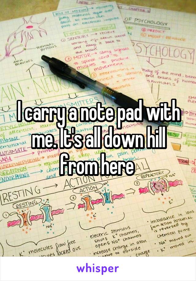 I carry a note pad with me. It's all down hill from here 