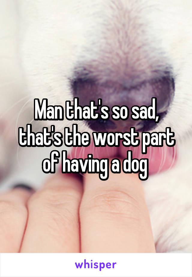 Man that's so sad, that's the worst part of having a dog 