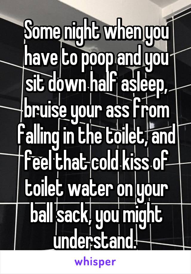 Some night when you have to poop and you sit down half asleep, bruise your ass from falling in the toilet, and feel that cold kiss of toilet water on your ball sack, you might understand. 