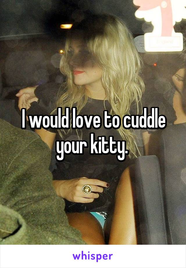 I would love to cuddle your kitty. 