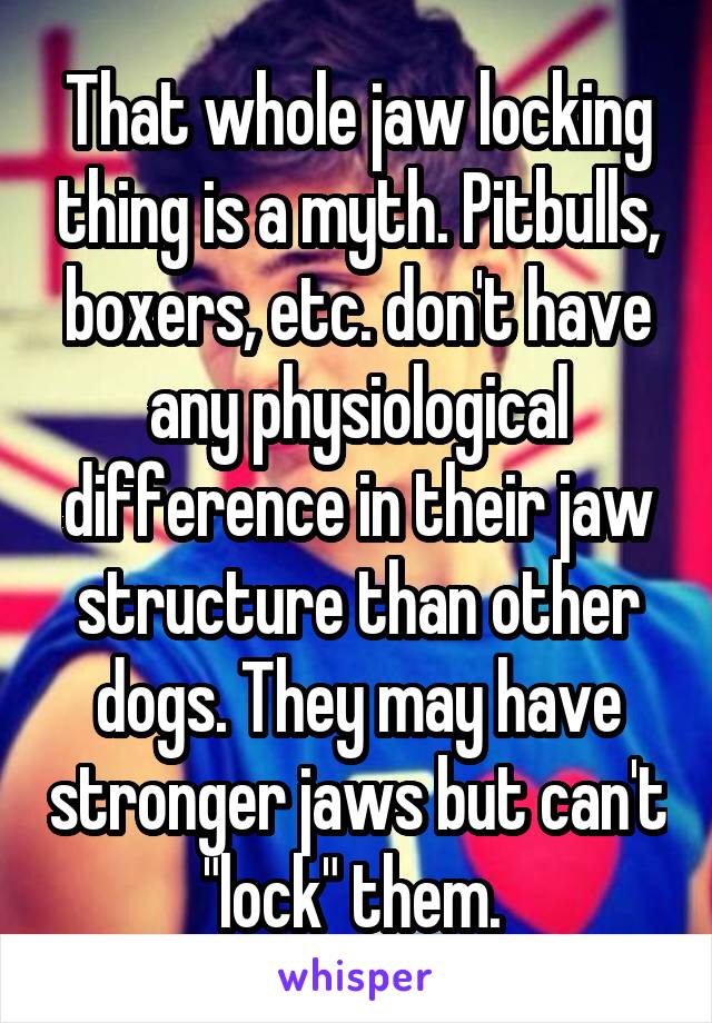 That whole jaw locking thing is a myth. Pitbulls, boxers, etc. don't have any physiological difference in their jaw structure than other dogs. They may have stronger jaws but can't "lock" them. 