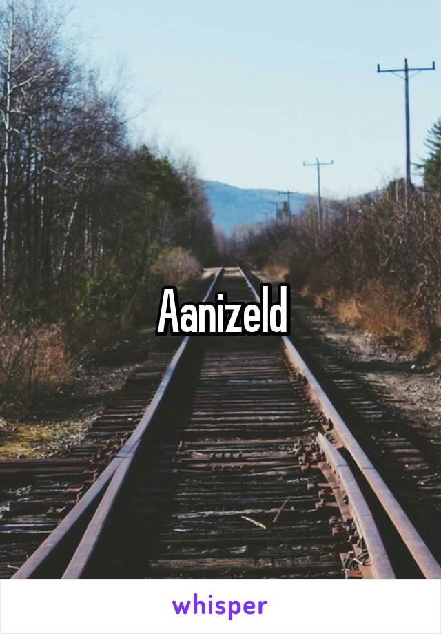 Aanizeld