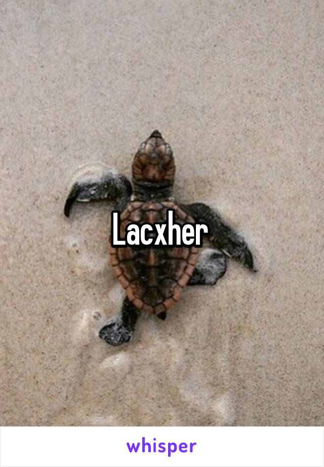 Lacxher 