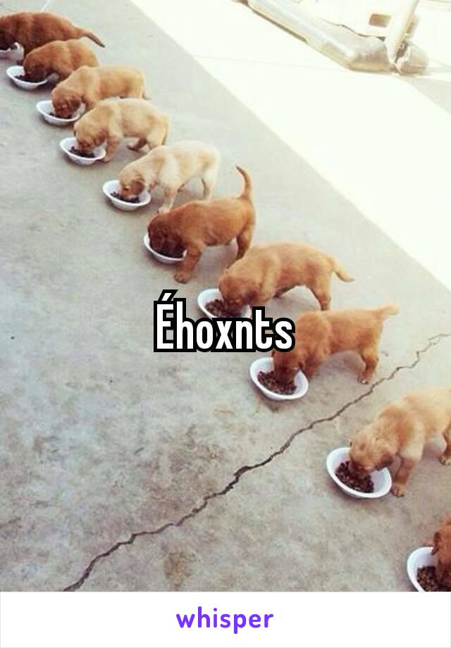 Éhoxnts